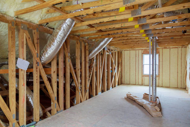 Best Insulation for New Construction  in Goliad, TX