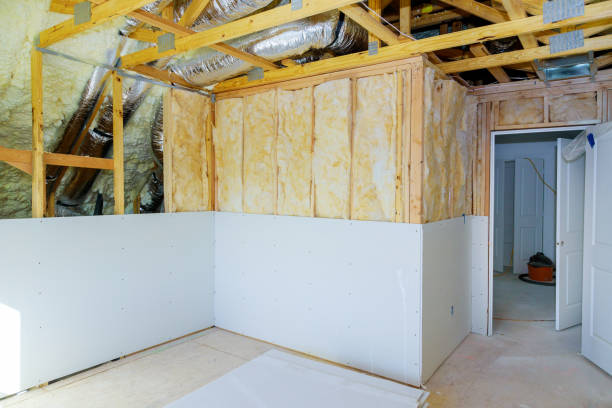 Best Attic Insulation Installation  in Goliad, TX