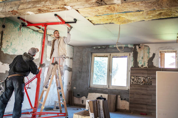 Best Commercial Insulation Contractor  in Goliad, TX