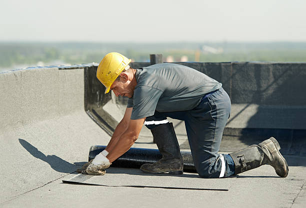 Best Wall Insulation Contractor  in Goliad, TX